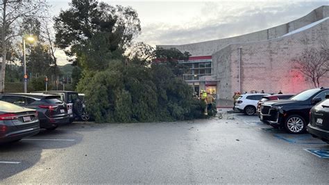 1 person injured after tree falls in Calabasas High School parking lot
